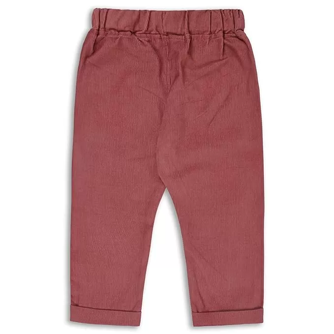 Boys Full Length Cotton T-Shirt and Pant