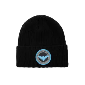 Nightwing Beanie