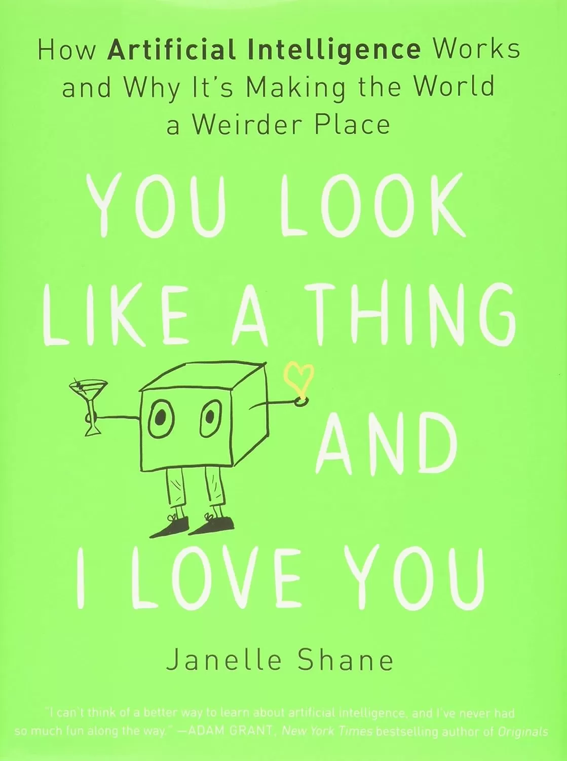 You Look Like a Thing and I Love You: How Artificial Intelligence Works and Why It's Making the World a Weirder Place